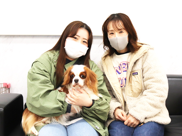 モデル犬の新しい家族が決まりました！PART①